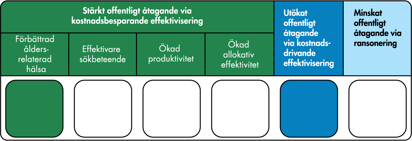 Strategin verkar huvudsakligen via förbättrad åldersrelaterad hälsa i befolkningen, samtidigt som den kan medföra ett utökat offentligt åtagande via kostnadsdrivande effektivisering. 